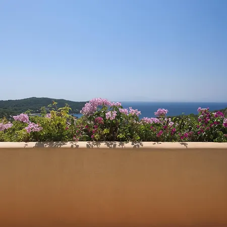 Alpha Luxury - Private Pool & Vip Services